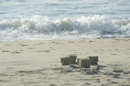 Ghost Crab with Sand Castle on the Beach