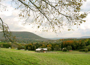 Mt Nittany in fall with tree