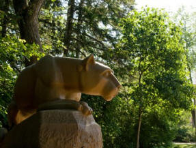 Nittany Lion in summer