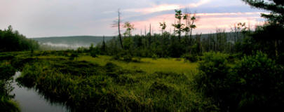 Bear Meadows National Natural Landmark
